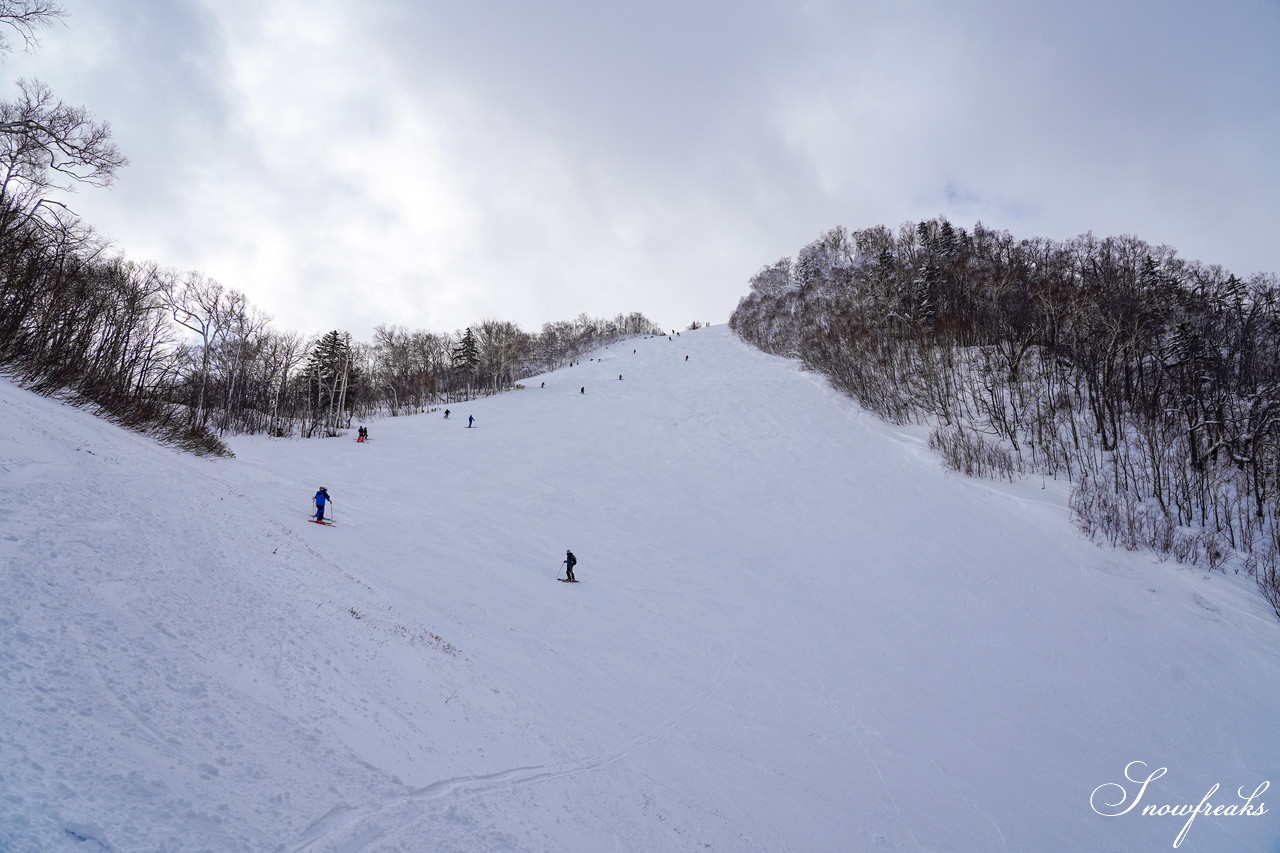 サッポロテイネ　これが北海道の冬。気温-11℃、澄んだ青空の下、パウダースノーが舞う天空のゲレンデ！